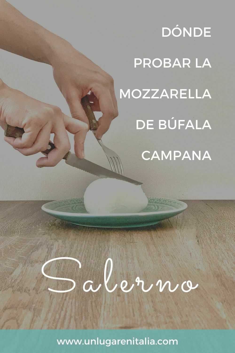 Mozzarella de búfala campana