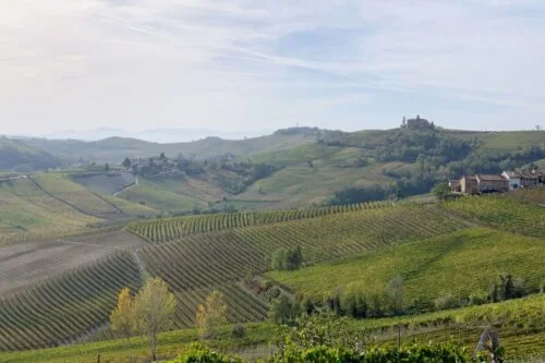 Lee más sobre el artículo ¿Qué hacer en Langhe? Descubriendo paisajes y sabores del Piemonte