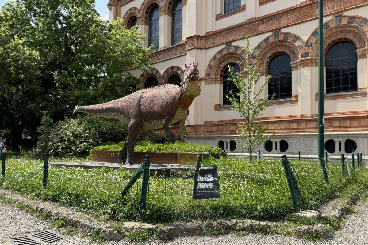 Museos de Milán para ir con niños. Museo de Ciencias Naturales