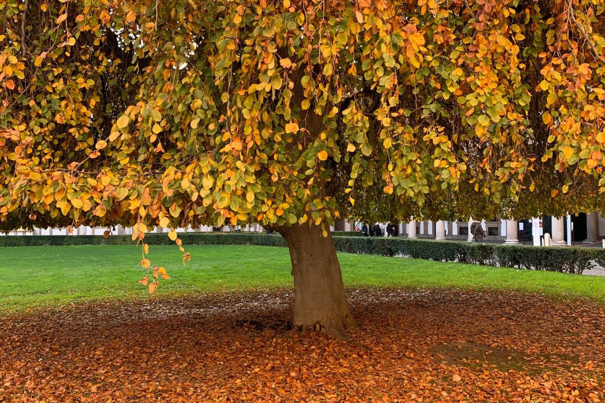 Qué hacer en Italia en octubre