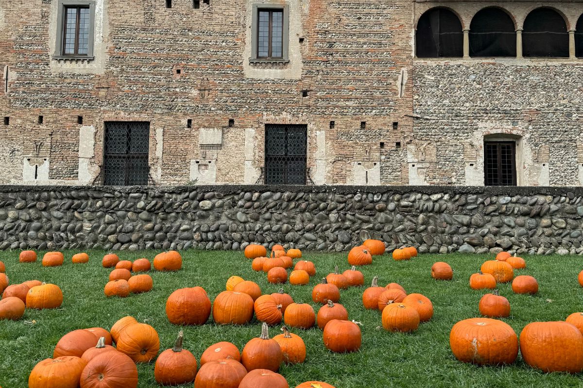 Qué hacer en Italia en octubre