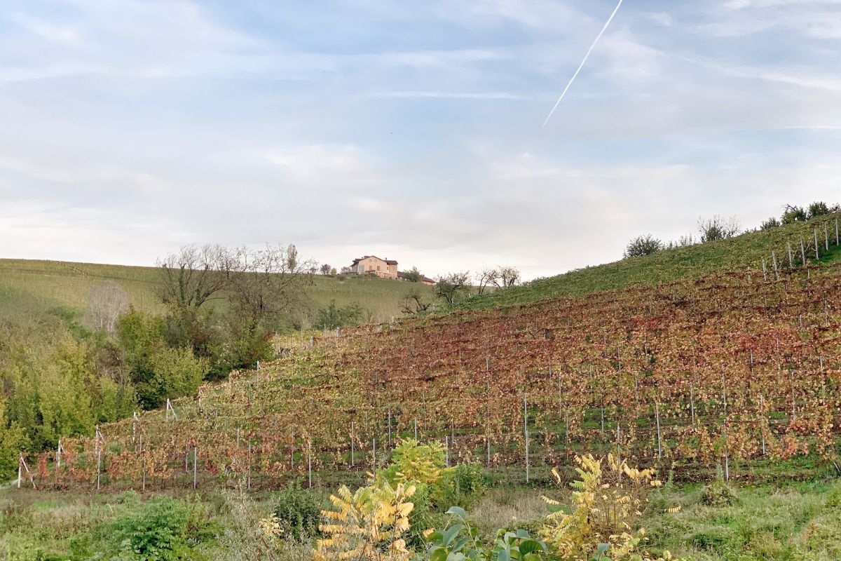 Qué hacer en Italia en otoño