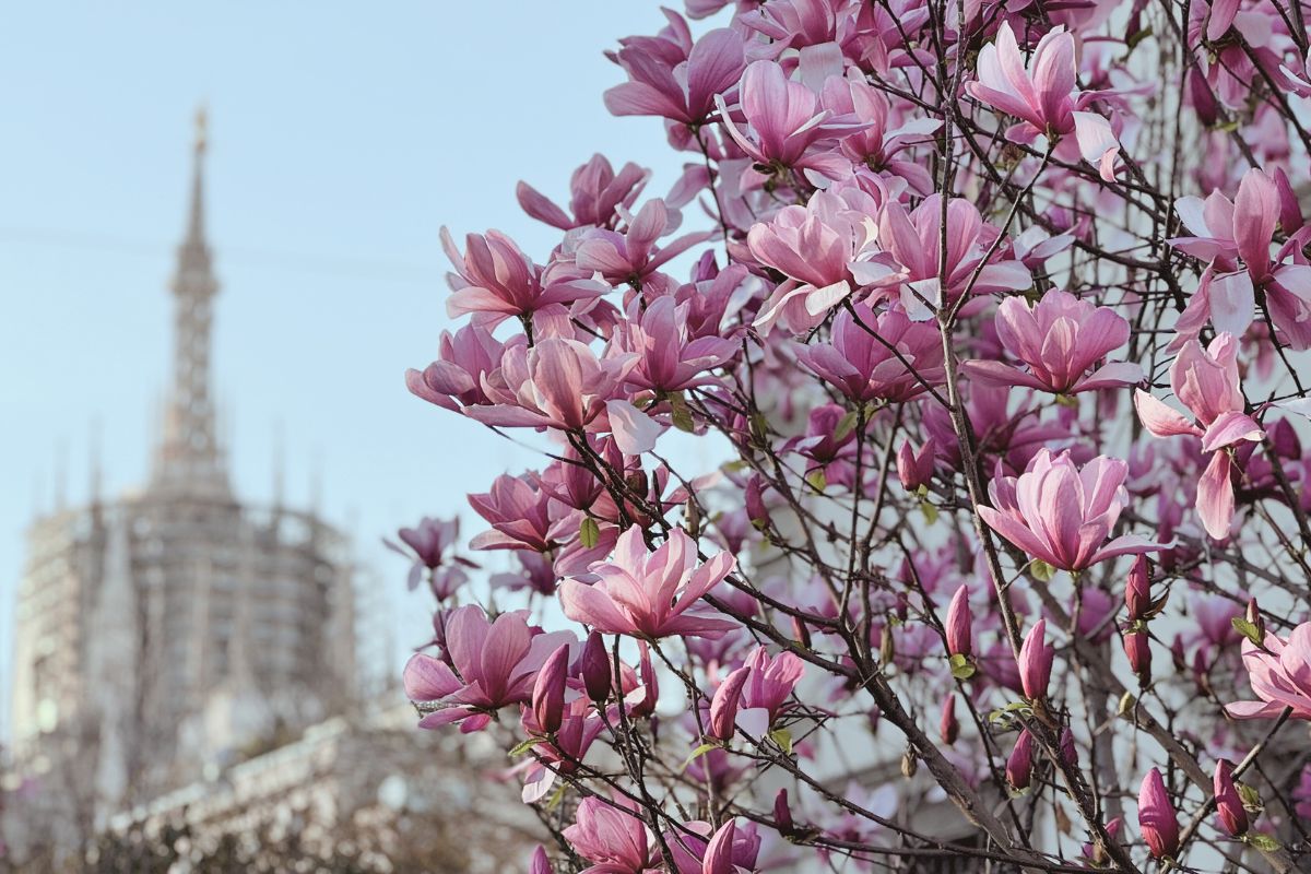 Que hacer en Italia en marzo