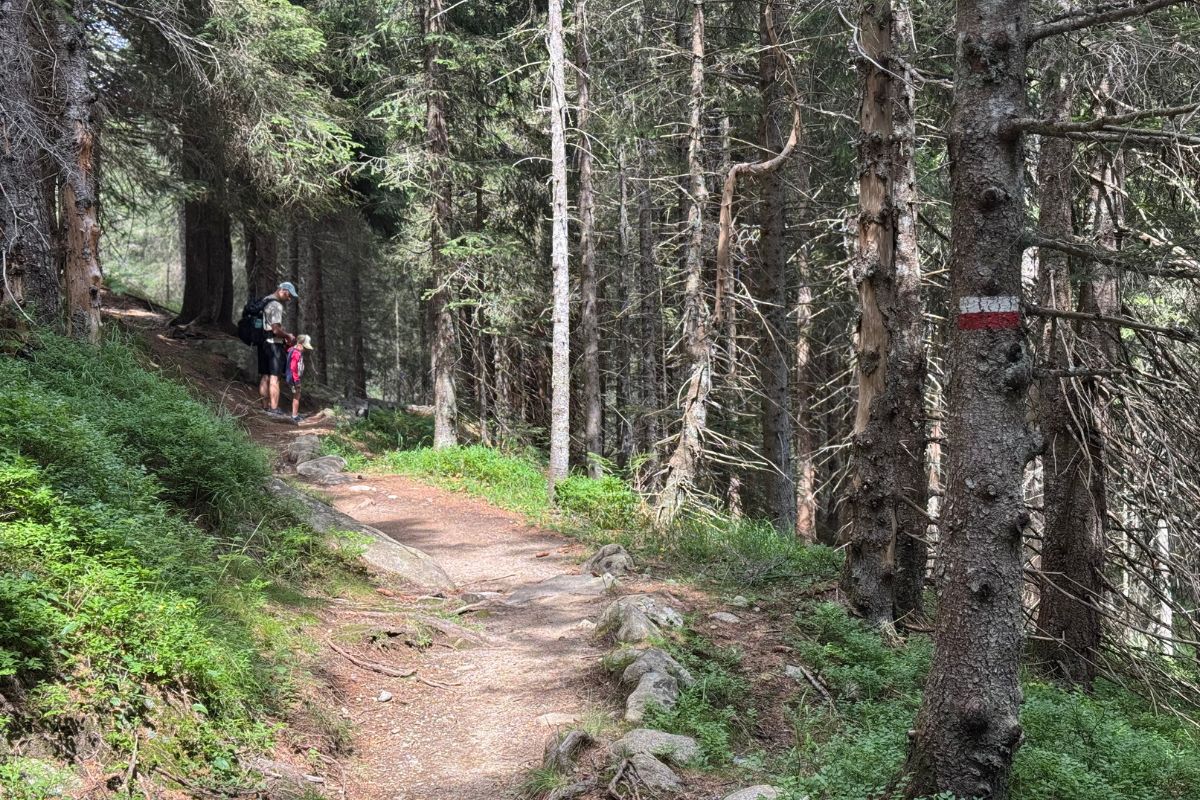 Madonna di Campiglio. Senderismo
